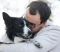 Pet Custody Laws Canada pet custody laws Canada